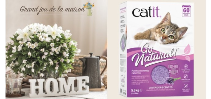 Femme Actuelle: 1 an de litière "Go Natural" Catit à gagner