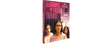 Blog Baz'art: 2 DVD du film "Les graines du figuier sauvage" à gagner