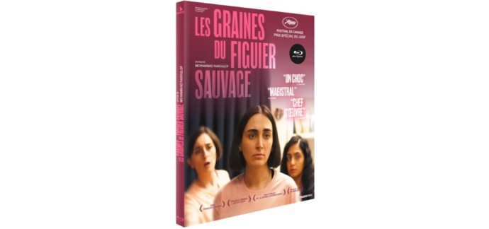 Blog Baz'art: 2 DVD du film "Les graines du figuier sauvage" à gagner