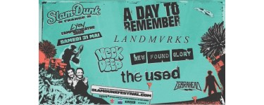 BFMTV: 1 lot de 2 invitations pour le festival "Slam Dunk"  à Lyon 