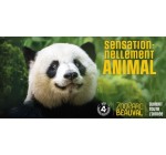 Femme Actuelle: 2 séjours au ZooParc de Beauval à gagner