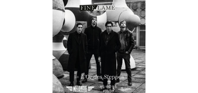 Blog Baz'art: 2 lots de 2 invitations pour le concert de Fine Lame à gagner