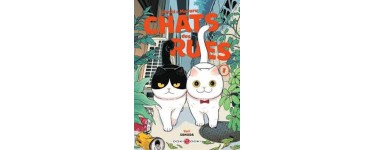 Carrefour: Des albums BD "Hachi & Maruru - Chats Des Rues" à gagner