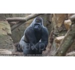 France Bleu: Des entrées pour le zoo d'Amnéville à gagner