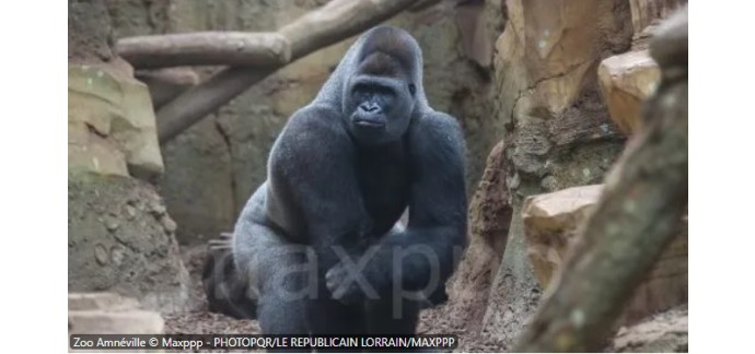 France Bleu: Des entrées pour le zoo d'Amnéville à gagner