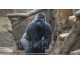 France Bleu: Des entrées pour le zoo d'Amnéville à gagner