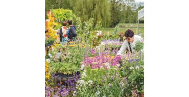 Weo: Des entrées pour les Journées des Plantes de Chantilly à gagner