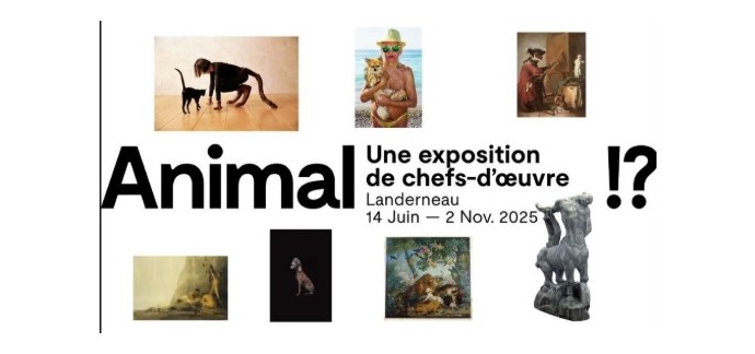 Arte: Des invitations pour l'exposition "Animal" à gagner