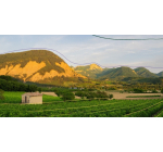 Terre de Vins: 1 séjour dans le vignoble + divers lots à gagner