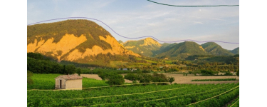 Terre de Vins: 1 séjour dans le vignoble + divers lots à gagner