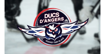 Alouette: Des invitations pour le match de hockey sur glace Angers / Bordeaux à gagner