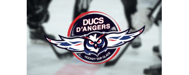 Alouette: Des invitations pour le match de hockey sur glace Angers / Bordeaux à gagner