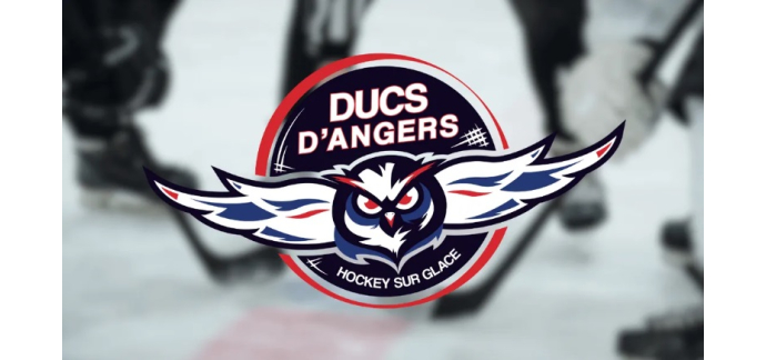 Alouette: Des invitations pour le match de hockey sur glace Angers / Bordeaux à gagner