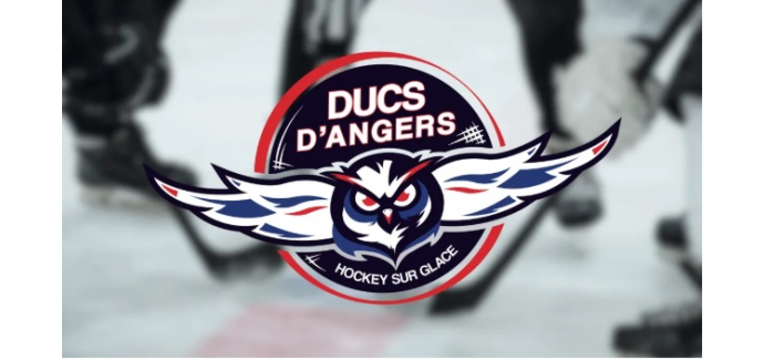 Alouette: Des invitations pour le match de hockey sur glace Ducs d'Angers / Dragons de Rouen à gagner