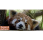 Femme Actuelle: Des invitations pour la Ménagerie des animaux du Jardin des Plantes à Paris à gagner