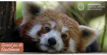 Femme Actuelle: Des invitations pour la Ménagerie des animaux du Jardin des Plantes à Paris à gagner