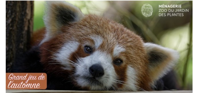 Femme Actuelle: Des invitations pour la Ménagerie des animaux du Jardin des Plantes à Paris à gagner