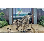 MaFamilleZen: 5 lots de 4 entrées pour Parrot World à Crécy-la-Chapelle à gagner