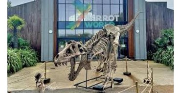 MaFamilleZen: 5 lots de 4 entrées pour Parrot World à Crécy-la-Chapelle à gagner