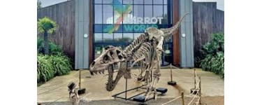 MaFamilleZen: 5 lots de 4 entrées pour Parrot World à Crécy-la-Chapelle à gagner