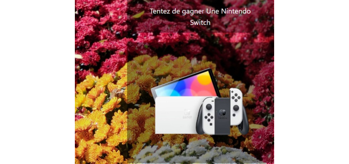 Marie Claire: 1 console de jeux Nintendo Switch à gagner