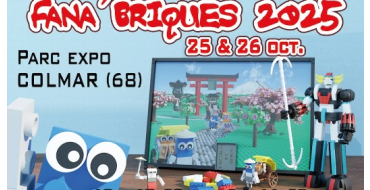 France Bleu: 3 boites Lego + 1 lot de 4 entrées pour le salon "Fana'Briques" à gagner