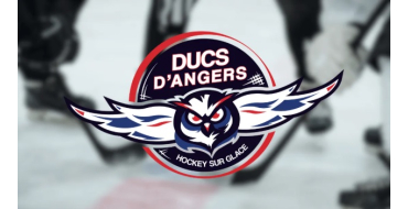 Alouette: Des invitations pour le match de hockey Ducs d'Angers / Spartiates de Marseille à gagner