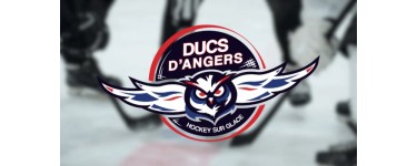 Alouette: Des invitations pour le match de hockey Ducs d'Angers / Spartiates de Marseille à gagner
