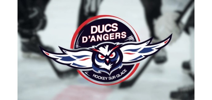 Alouette: Des invitations pour le match de hockey Ducs d'Angers / Spartiates de Marseille à gagner
