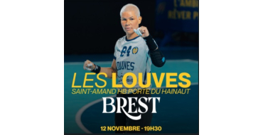 Weo: 1 lot de 2 invitations pour le match handball féminin Saint-Amand-les-Eaux / Brest à gagner