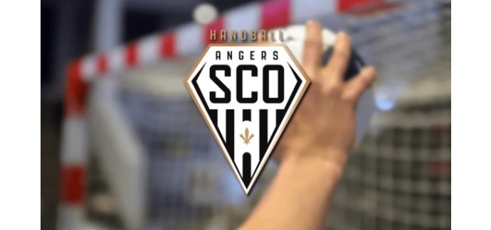 Alouette: Des invitations pour le match de handball Angers / Caen à gagner