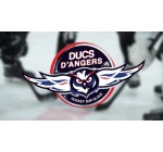 Alouette: Des invitations pour le match de hockey Ducs d'Angers / Rapaces de Gapà gagner
