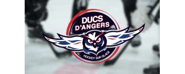 Alouette: Des invitations pour le match de hockey Ducs d'Angers / Rapaces de Gap&agrave; gagner