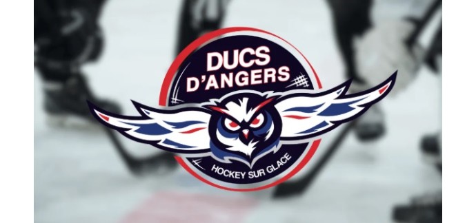 Alouette: Des invitations pour le match de hockey Ducs d'Angers / Rapaces de Gap&agrave; gagner