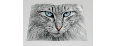 Europe1: 1 livre "Lovecats" &agrave; gagner