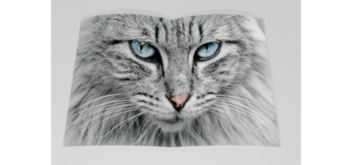 Europe1: 1 livre "Lovecats" &agrave; gagner