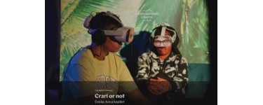 Arte: 6 lots de 2 invitations pour le spectacle "Crari or not / To like or not" à gagner