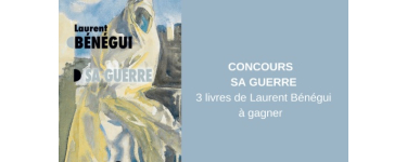 Blog Baz'art: 3 romans "Sa guerre" de Laurent B&eacute;n&eacute;gui &agrave; gagner