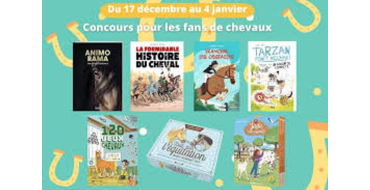 MaFamilleZen: 14 livres jeunesse sur le th&egrave;me des chevaux &agrave; gagner