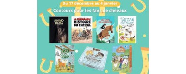 MaFamilleZen: 14 livres jeunesse sur le th&egrave;me des chevaux &agrave; gagner