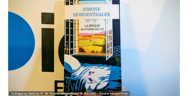 France Bleu: 1 livre "La brique au fond du lit" &agrave; gagner