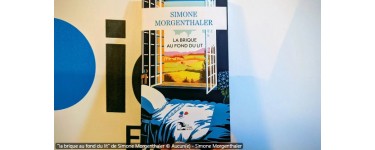 France Bleu: 1 livre "La brique au fond du lit" &agrave; gagner