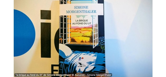 France Bleu: 1 livre "La brique au fond du lit" &agrave; gagner