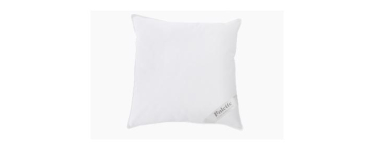 LIDL: Balette Oreiller 60x60 cm - 70% plumes 30% duvet &agrave; 19,99&euro; (au lieu de 69&euro;)