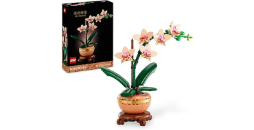 Amazon: LEGO&reg; Botanicals The Miniature Orchid (10343) &agrave; 19,99&euro; (au lieu de 29,99&euro;)