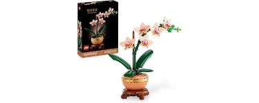 Amazon: LEGO&reg; Botanicals The Miniature Orchid (10343) &agrave; 19,99&euro; (au lieu de 29,99&euro;)