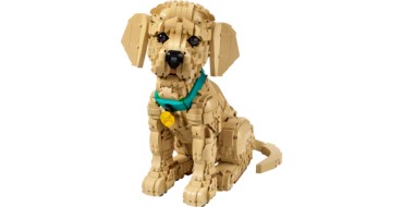 Carrefour: LEGO Icons Golden Retriever (Tout public) &agrave; 109,99&euro; (au lieu de 139,99&euro;)