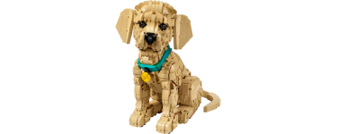 Carrefour: LEGO Icons Golden Retriever (Tout public) &agrave; 109,99&euro; (au lieu de 139,99&euro;)