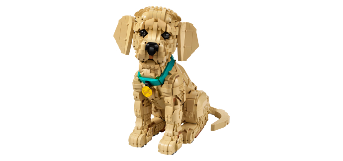 Carrefour: LEGO Icons Golden Retriever (Tout public) &agrave; 109,99&euro; (au lieu de 139,99&euro;)