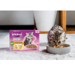 Whiskas: &Eacute;chantillon gratuit de nourriture Whiskas pour chatons